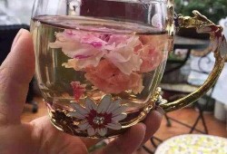 水晶玫瑰最新爆料图片大全,惊艳图片大全大揭秘