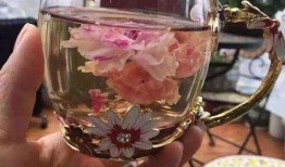 水晶玫瑰最新爆料图片大全,惊艳图片大全大揭秘
