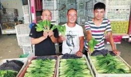 郑州菜价最新爆料,涨跌波动，市民生活受影响