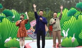 夏威夷机场爆料视频最新,最新爆料视频揭秘！