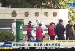 陈店镇本地爆料案件最新,疑云重重，真相待解！