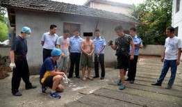 陈店镇本地爆料案件最新,疑云重重，真相待解！